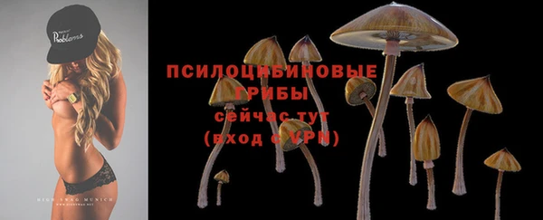 ALPHA PVP Абдулино