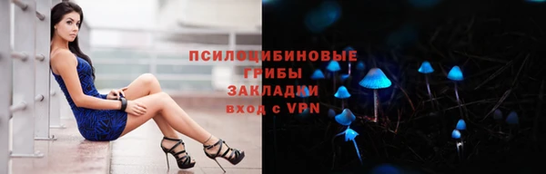 крисы Абаза