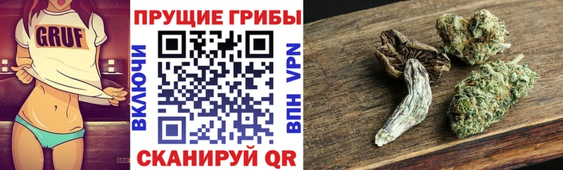 blacksprut ССЫЛКА  Касимов  Псилоцибиновые грибы мицелий 